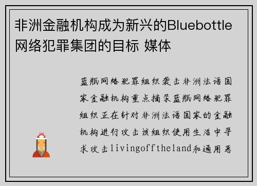 非洲金融机构成为新兴的Bluebottle网络犯罪集团的目标 媒体