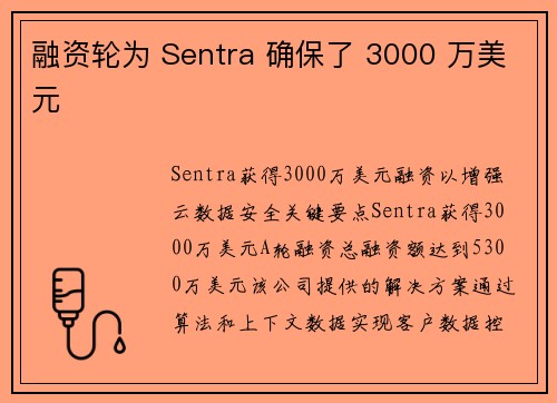 融资轮为 Sentra 确保了 3000 万美元 